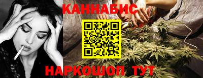 сатива Ставрополь