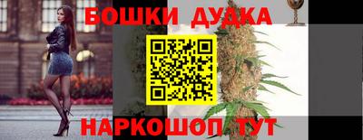 сатива Ставрополь