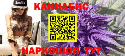 сатива Ставрополь