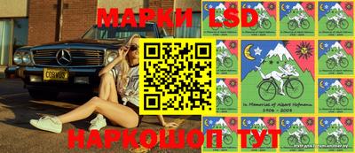 сатива Ставрополь