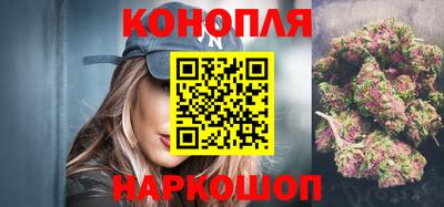 сатива Ставрополь