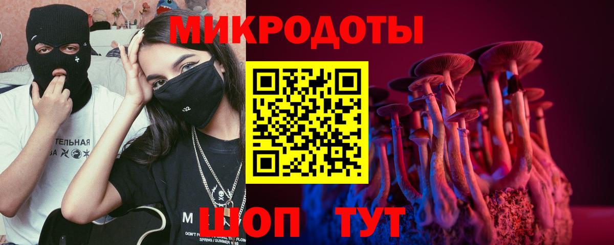 Саров  Псилоцибиновые грибы Psilocybine cubensis  Вход с VPN 